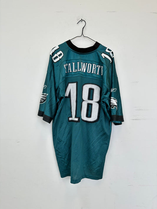 Philadelphia Eagles "Donte Stallworth" NFL Jersey