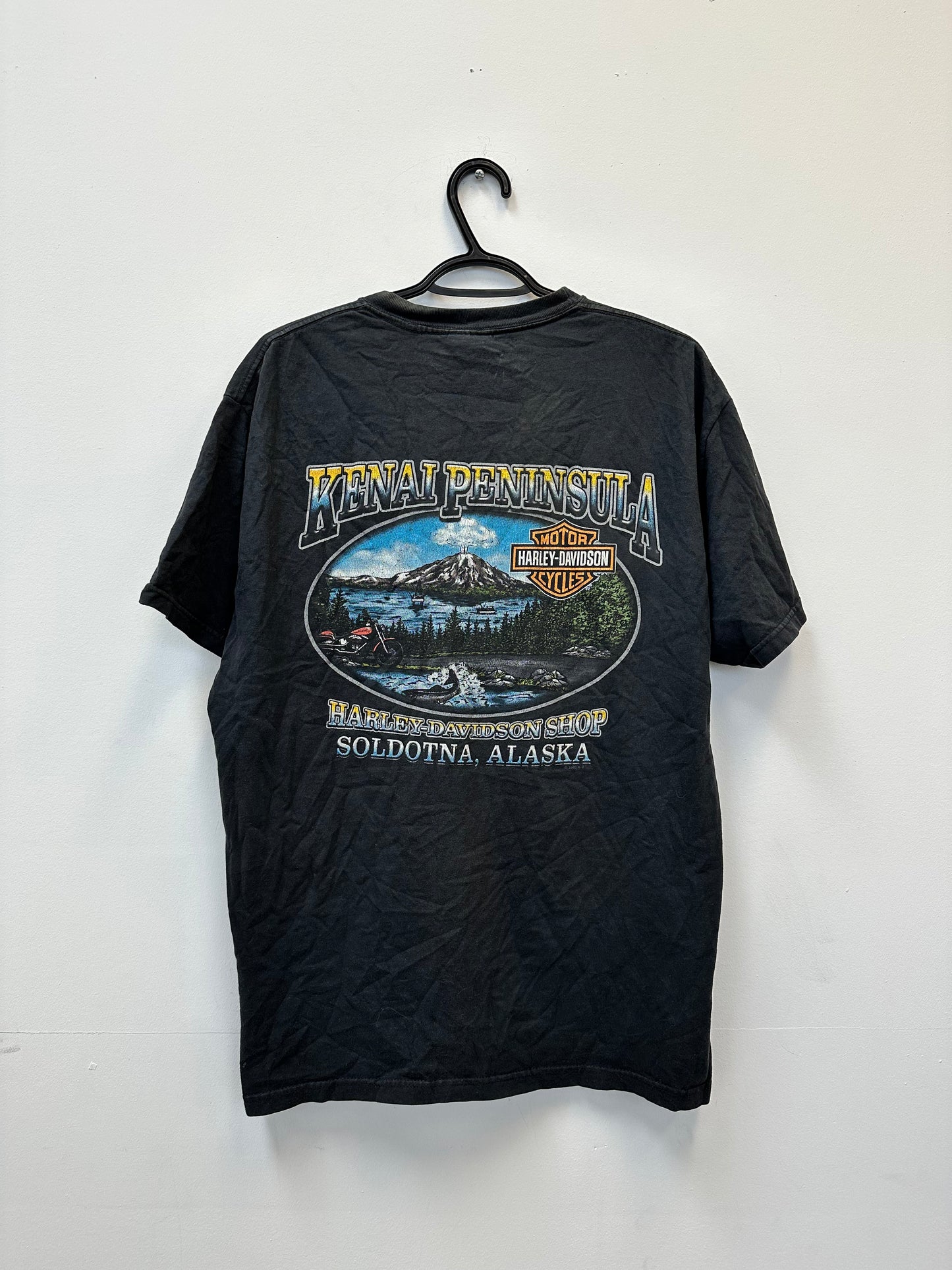 Vintage Harley Davidson Alaska Tee