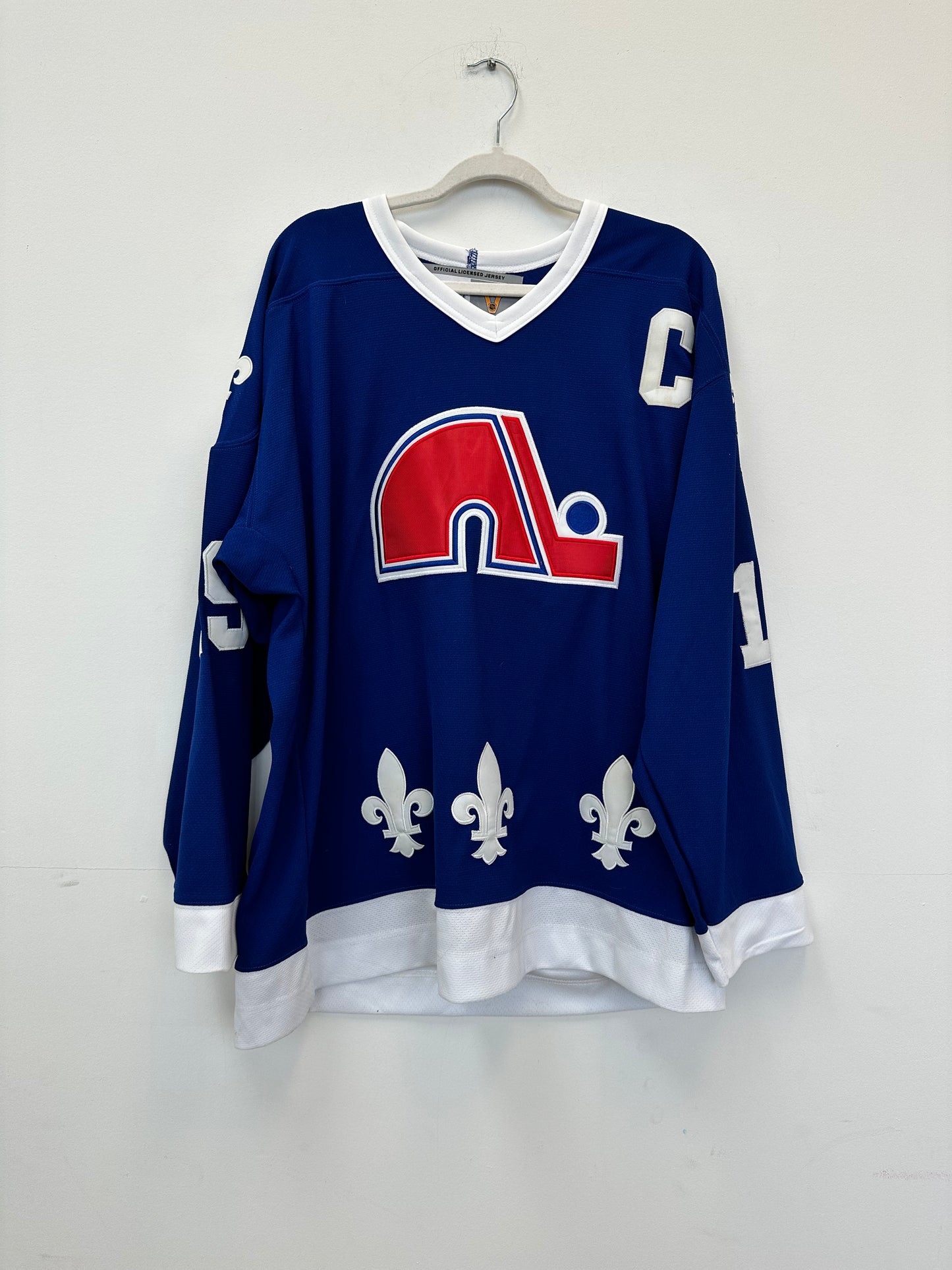 Vintage Quebec Nordiques Joe Sakic Jersey